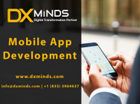 DxMinds Innovations Pvt.ltd (4) - Webdesign