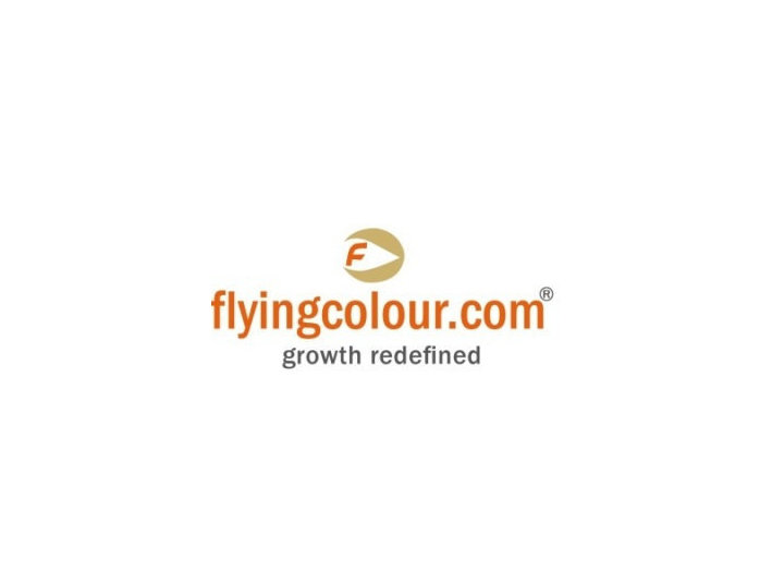 Flying Colour Business Setup Services - Réseautage & mise en réseau