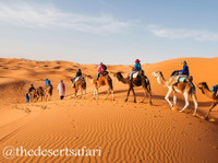 The Desert Safari (1) - Travel Agencies