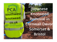 Japanese Knotweed Removal Cornwall Devon Bristol Somerset (1) - Архитекти и геодети