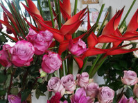 Apple Mint Florist (1) - Δώρα και Λουλούδια