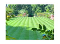 Fletchers Landscaping & Garden Maintenance | Cobham | Surrey (1) - Zahradník a krajinářství