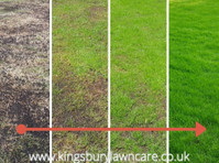 Kingsbury Lawn Care - Lawn Treatment Experts (1) - Κηπουροί & Εξωραϊσμός