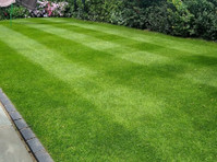 Kingsbury Lawn Care - Lawn Treatment Experts (5) - Градинарство и озеленяване