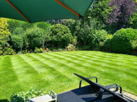 Kingsbury Lawn Care - Lawn Treatment Experts (6) - Градинарство и озеленяване