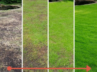 Kingsbury Lawn Care - Lawn Treatment Experts (1) - Gardeners & Landscaping