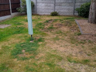 Kingsbury Lawn Care - Lawn Treatment Experts (6) - Tuinierders & Hoveniers