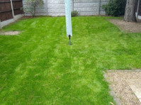 Kingsbury Lawn Care - Lawn Treatment Experts (7) - باغبانی اور لینڈ سکیپنگ