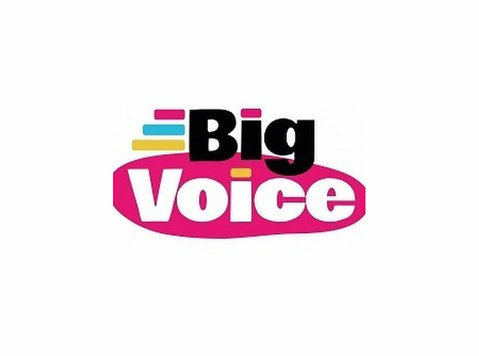 Big Voice Ltd - Advertising Agencies