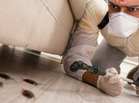 Pestco Quality Pest Control Ltd (1) - Onroerend goed inspecties