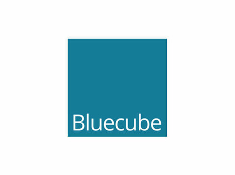 Bluecube Technology Solutions - Consultancy
