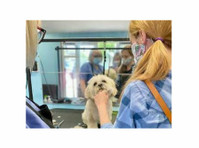 The Paw Pad Dog Grooming Academy (1) - Serviços de mascotas