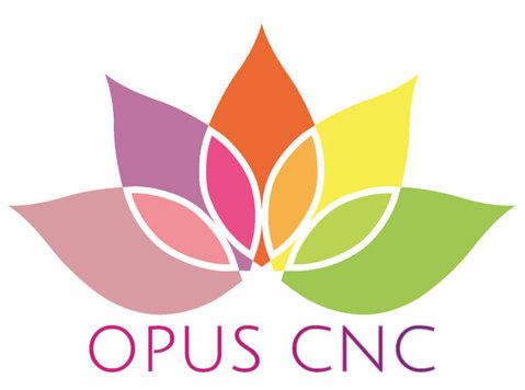 Opus Cnc Ltd - Construction Services