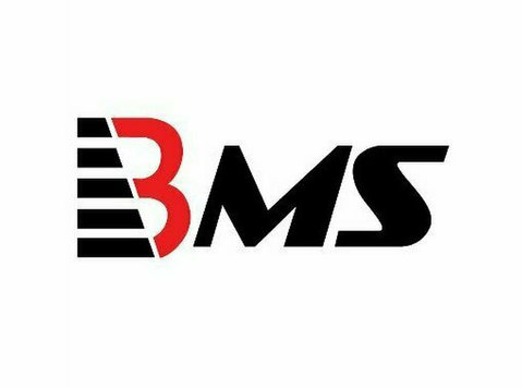 BMS Auditing UK | Accounting and Audit Firm in UK - Business Accountants