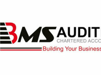 BMS Auditing UK | Accounting and Audit Firm in UK (1) - Business Accountants