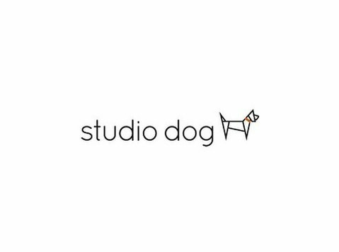 Studio Dog - Photographers