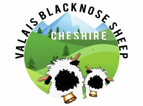Valais Blacknose Sheep Cheshire - Huisdieren diensten