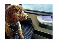 Paws on Trains (2) - Travel Agencies