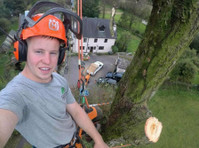 Connor Down Tree Services (1) - Jardiniers & Paysagistes