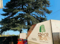 Connor Down Tree Services (2) - Architektura krajobrazu