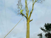 Connor Down Tree Services (3) - Dārznieki un Ainavas