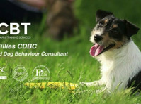 CBT Dog Behaviour & Training (3) - Servicios para mascotas