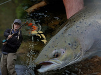 Salmon Fishing Holidays Scotland (1) - Риболов и любителски риболов