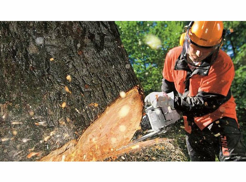 Rotherham Tree Services - Home & Garden Services