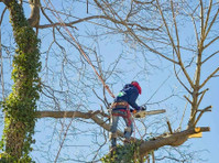 Rotherham Tree Services (1) - Home & Garden Services