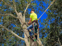 Rotherham Tree Services (6) - Home & Garden Services