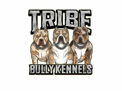Tribe Bully Kennels - Pet services