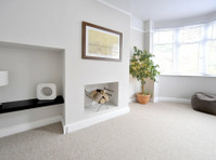 Carpet Crown (3) - Furniture rentals