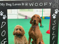 Woofy Treats Ltd (3) - Servicios para mascotas