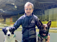 Vislor Dog Training - West Bromwich (1) - پالتو سروسز