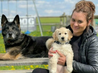 Vislor Dog Training - West Bromwich (5) - Services aux animaux