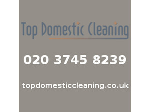 Top Domestic Cleaning London - Почистване и почистващи услуги