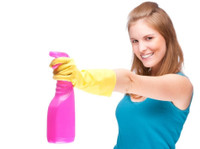 Royal Carpet Cleaner (6) - Хигиеничари и слу