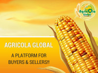 Agricola Global (1) - Essen & Trinken