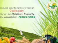 Agricola Global (2) - Jídlo a pití