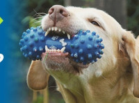 Dogowner.co.uk (1) - Servicios para mascotas