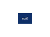 Sentle (1) - Бизнес и Связи