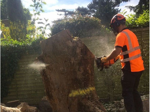 Spelthorne Tree and Garden Services - Tuinierders & Hoveniers