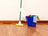 Go Go Cleaning || 01179 441 207 (1) - Servicios de limpieza