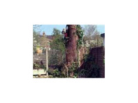 Surrey Tree Services (3) - Jardineros