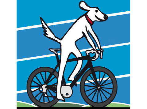 Salt Dog Cycling - Cycling & Mountain Bikes