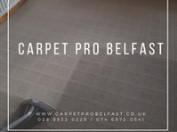 Carpet Pro Belfast (2) - Cleaners & Cleaning services