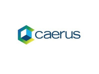 Caerus Infosys Limited (1) - Уеб дизайн