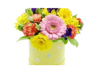 Flowers Cricklewood (1) - Presentes e Flores