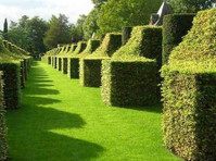 Essex Garden Care (1) - Giardinieri e paesaggistica