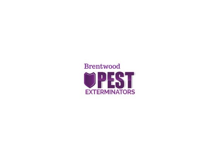 Pest Exterminators Brentwood - Домашни и градинарски услуги